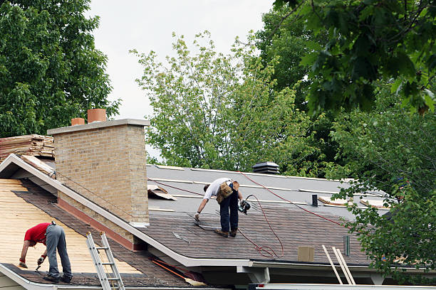 Best Roof Repair Services  in Sebree, KY