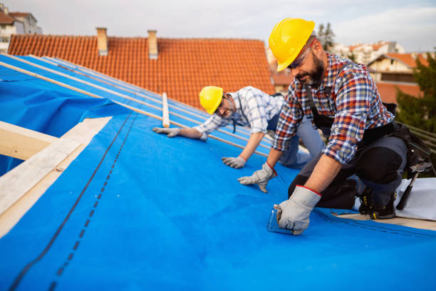Best Roof Waterproofing Services  in Sebree, KY