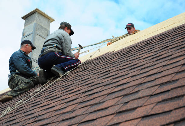 Best Emergency Roof Repair  in Sebree, KY