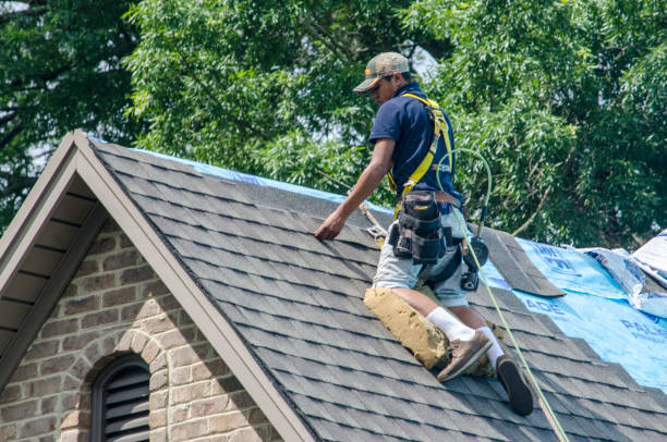 Best Roof Gutter Cleaning  in Sebree, KY